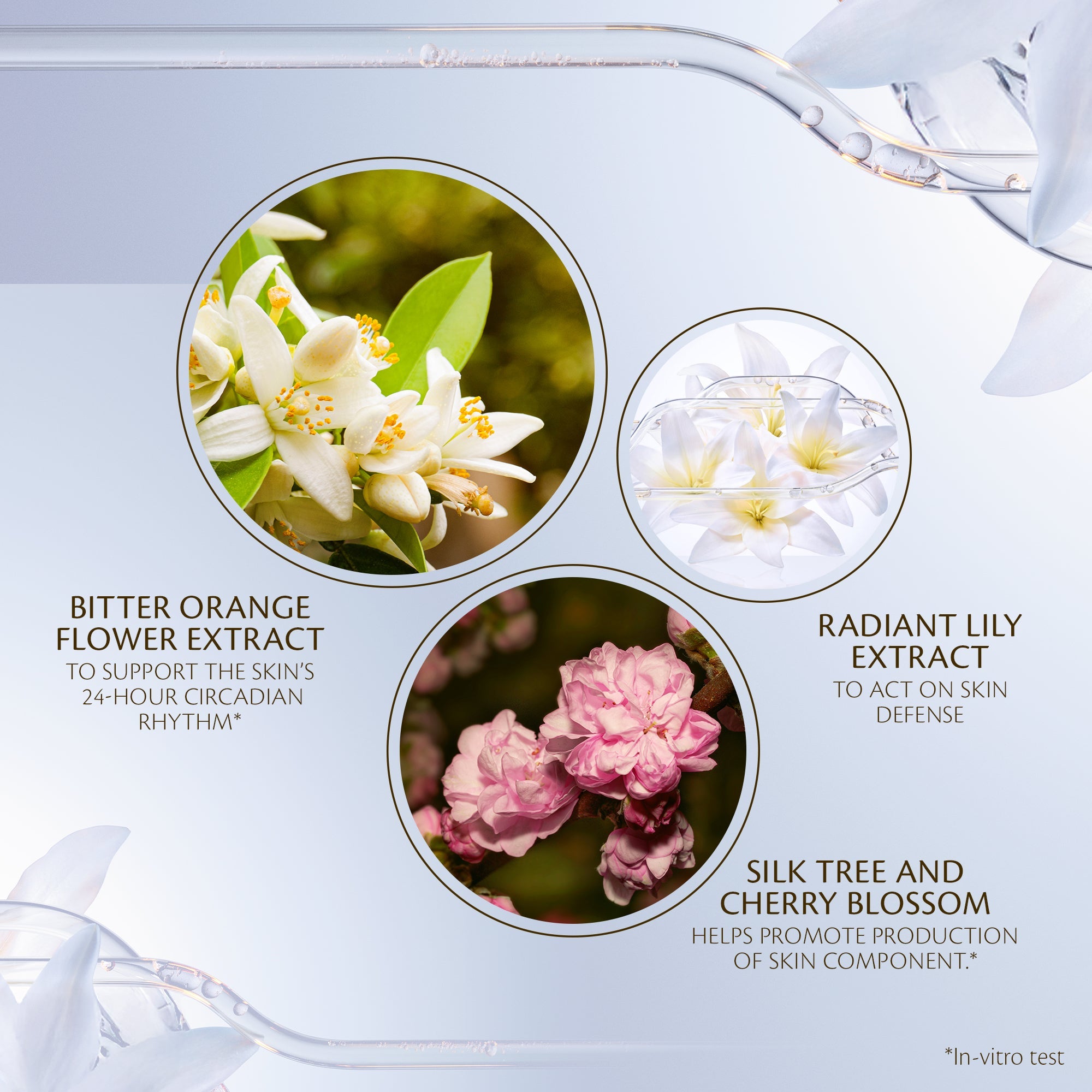 s/files/1/0911/6739/2086/files/10122664101_5.jpg?v=1772624238