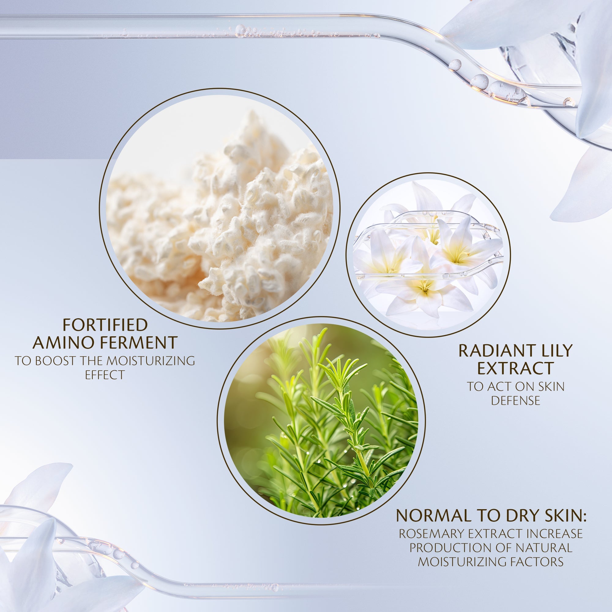 s/files/1/0911/6739/2086/files/10122665101_5.jpg?v=1772624265