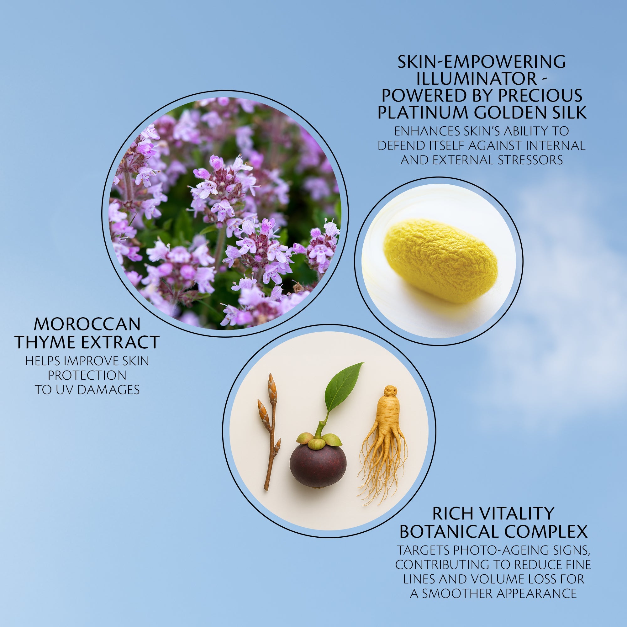 s/files/1/0911/6739/2086/files/10119166301_5.jpg?v=1772623519