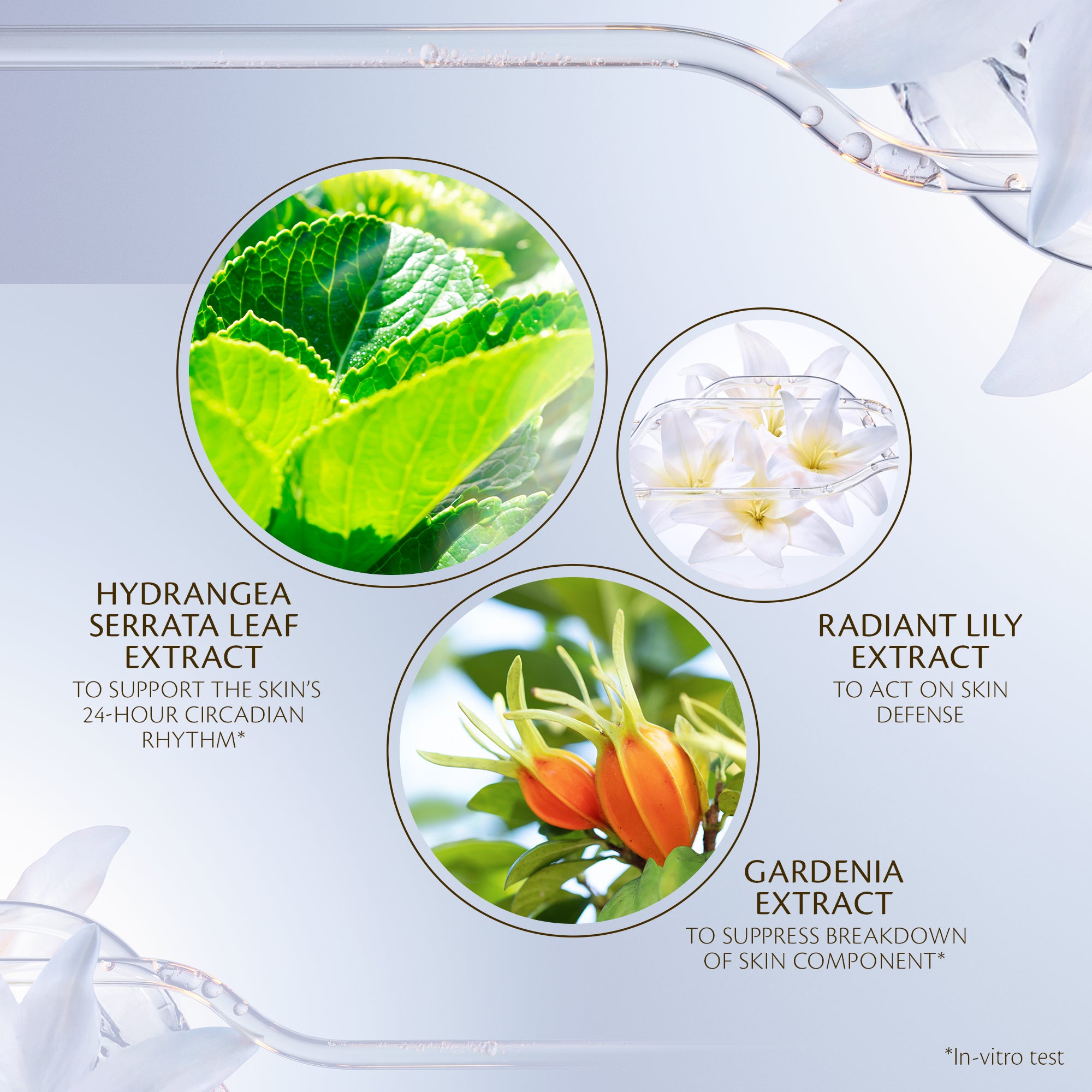 Advanced Protective Cream - Refill