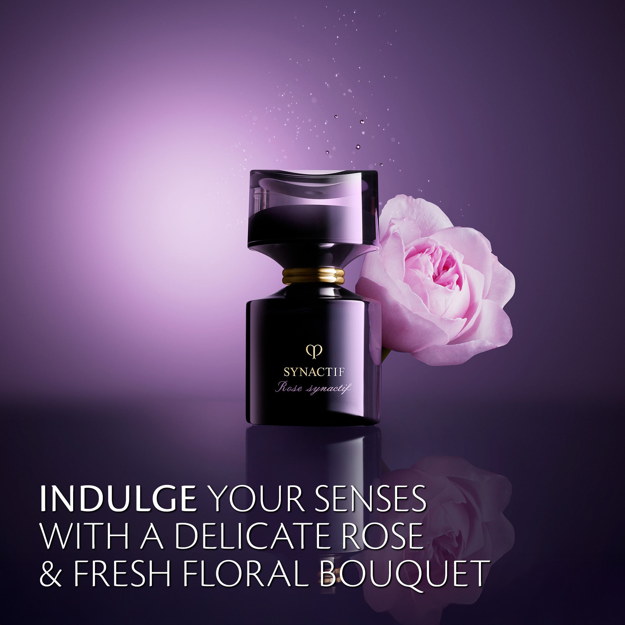 Rose Synactif