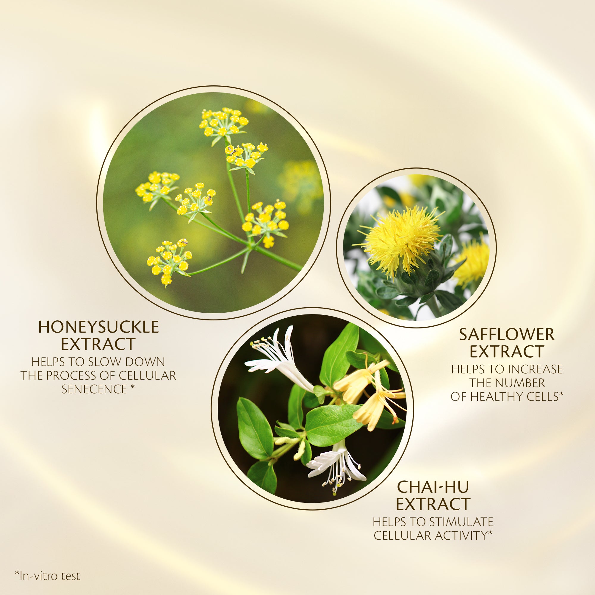 Firming Serum Supreme