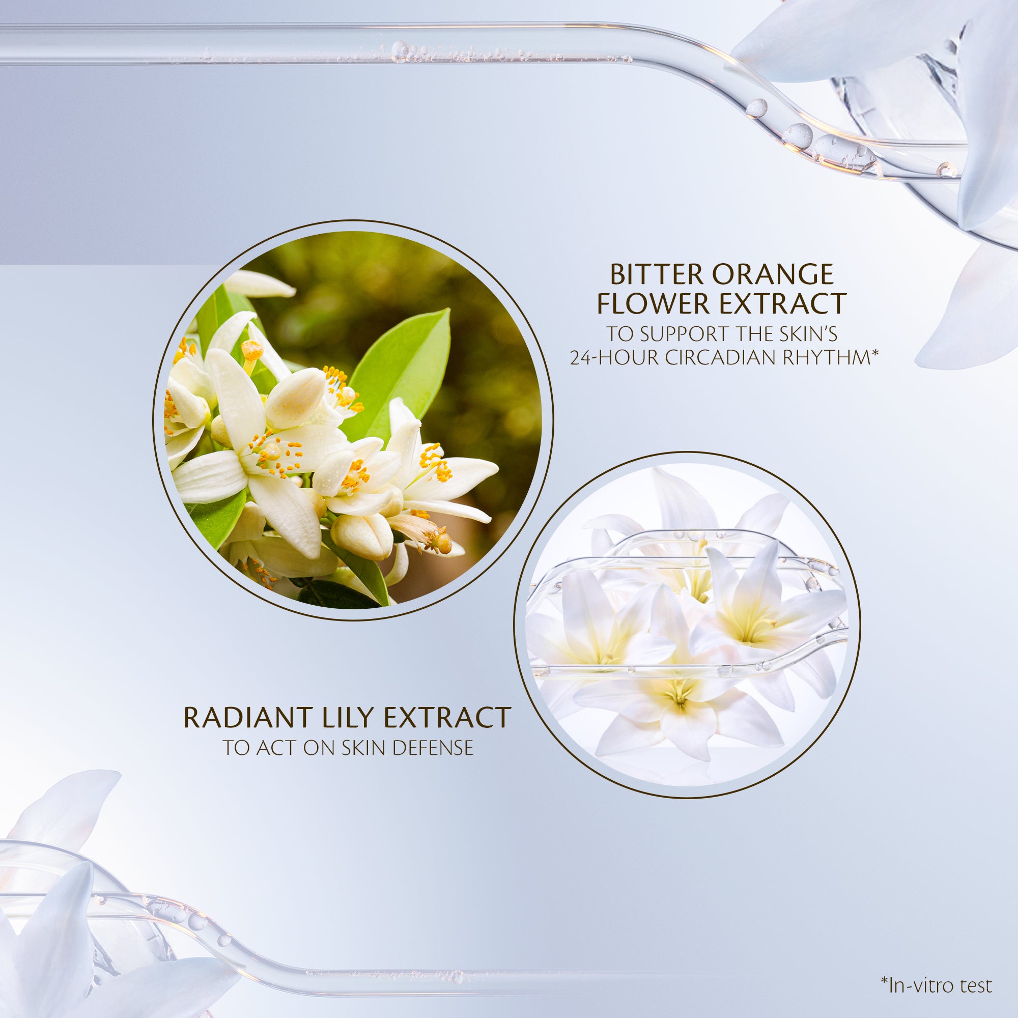 Intensive Night Emulsion - Clé de Peau Beauté