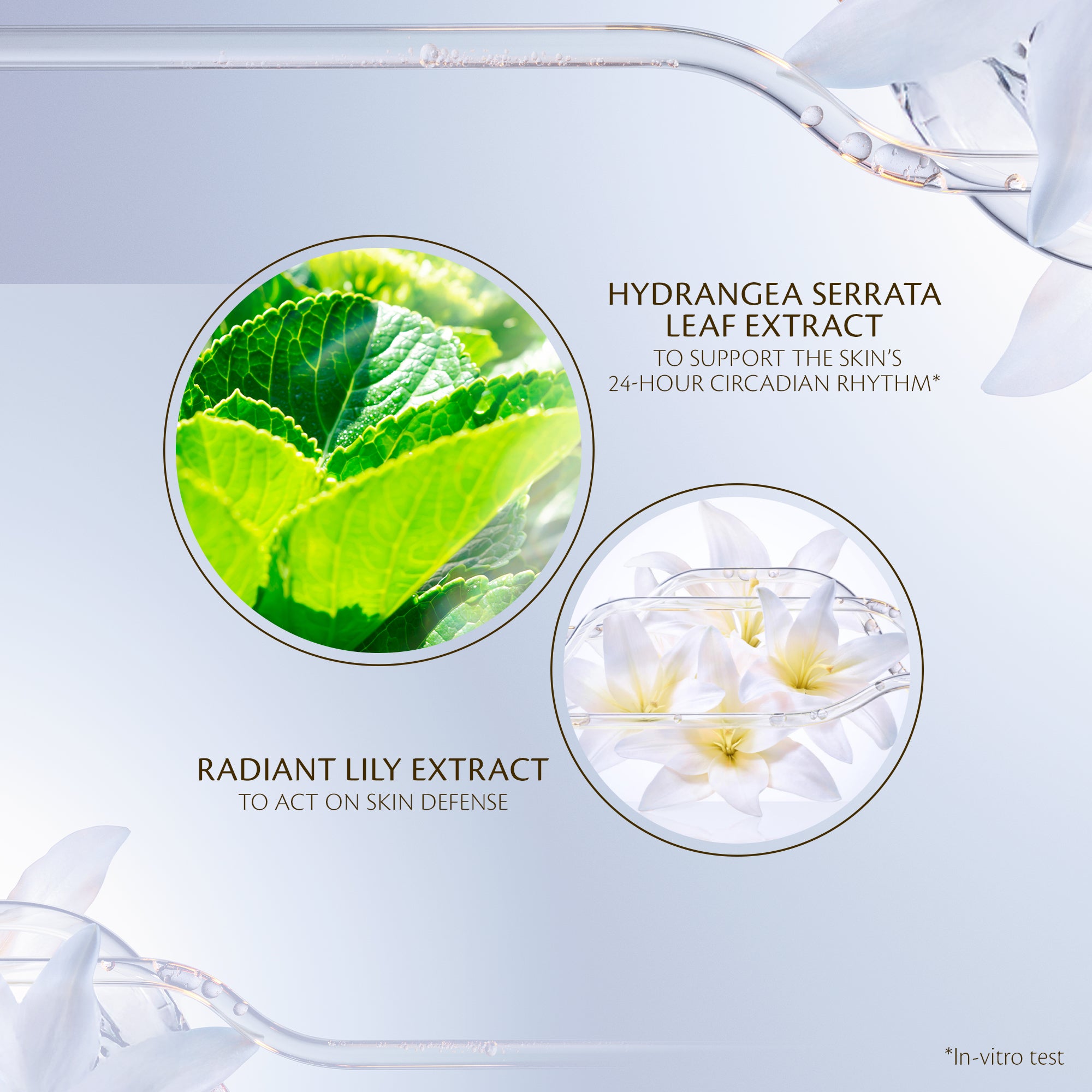 Protective Day Emulsion - Clé de Peau Beauté