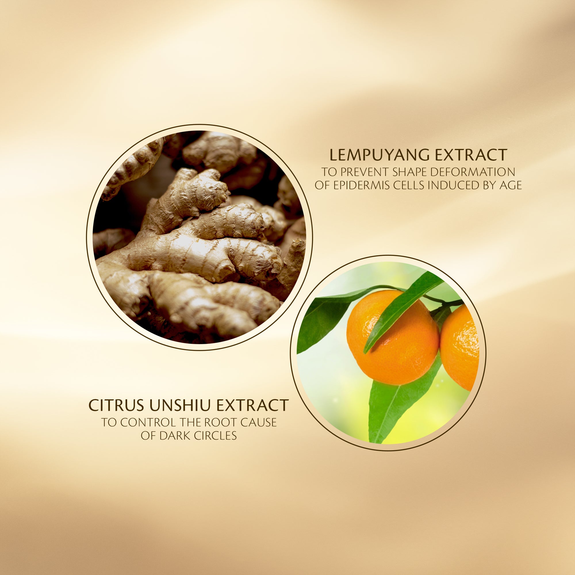 Eye Contour Cream Supreme